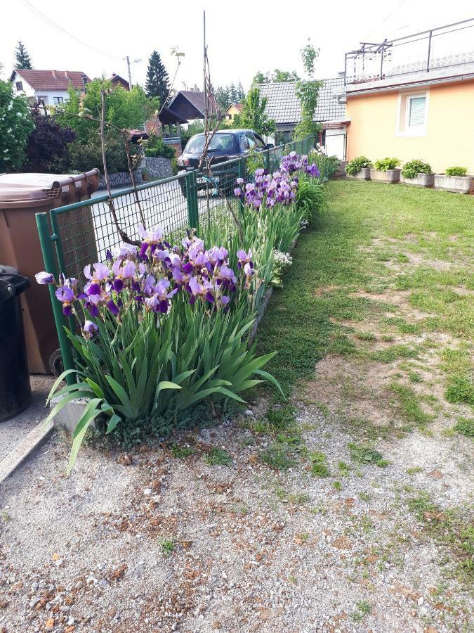 Iris Room & Apartment سلوني المظهر الخارجي الصورة